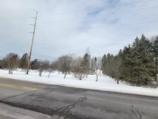 Grand Haven, MI 49417,VL Johnson Street
