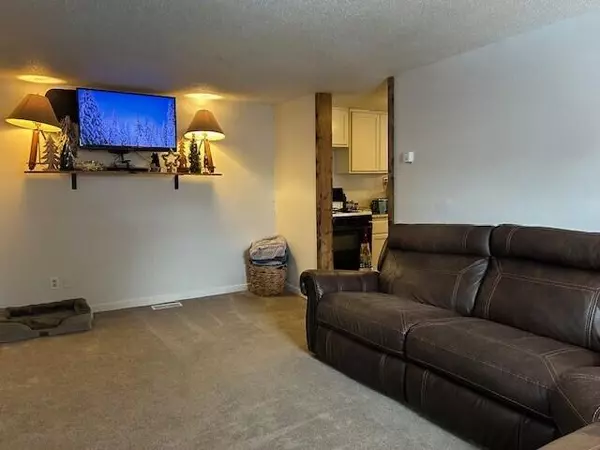 Marion, MI 49665,302 W 1st Street