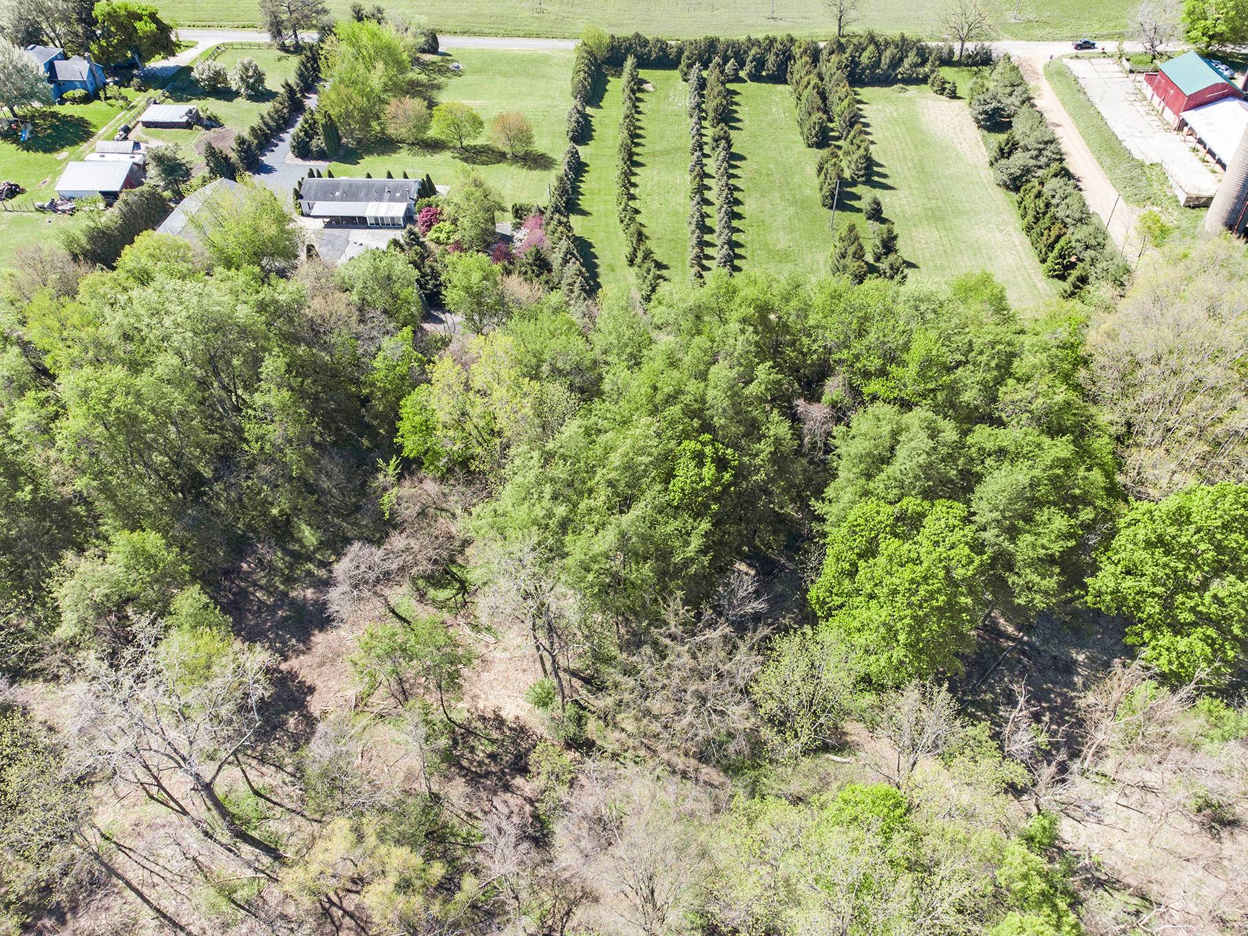 Three Oaks, MI 49128,19579 S Ray Road