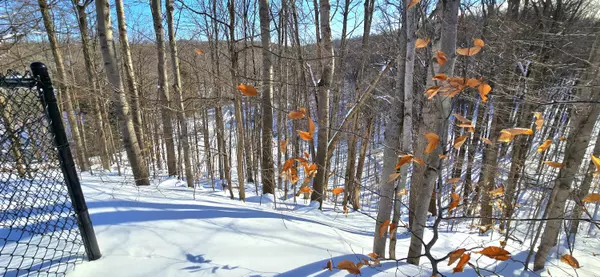 Boyne City, MI 49712,498 Hull Street