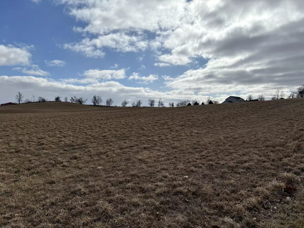 Manchester, MI 48158,0 Wildlife Ridge