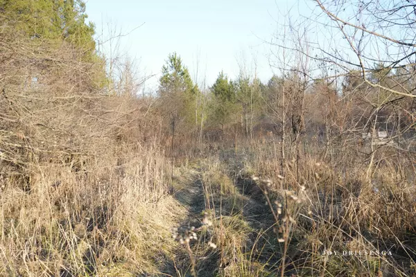 Allegan, MI 49010,V/L Fawn Path, Parcel B