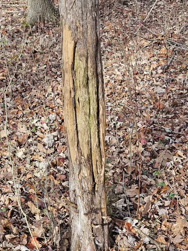 Kalamazoo, MI 49048,V/L E L Avenue