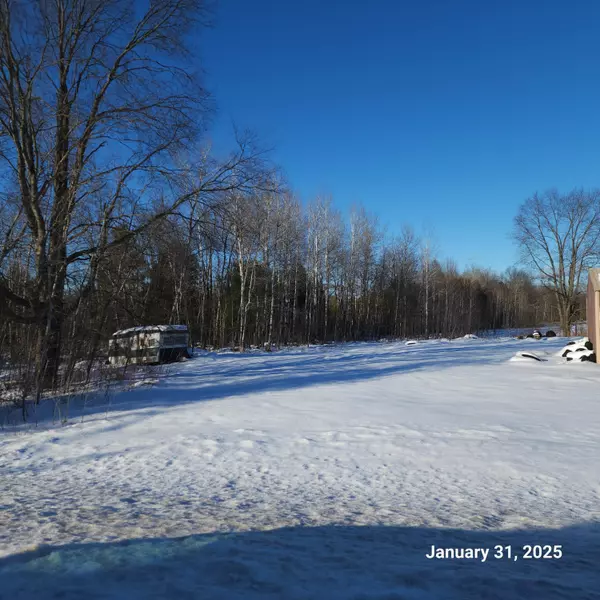 Bear Lake, MI 49614,14084 13 Mile Road