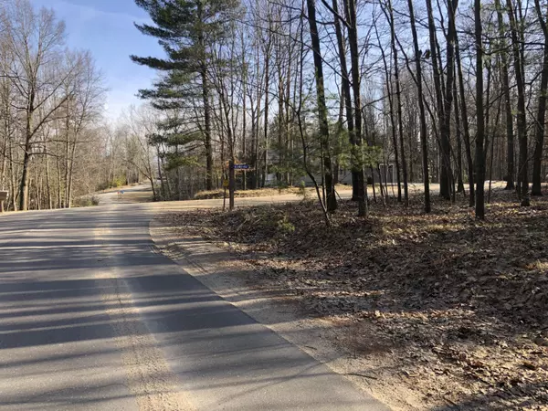 6833 Beechnut Ridge #252, Canadian Lakes, MI 49346