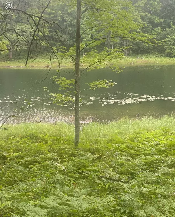V/L Alpine Drive Lot 318, Reed City, MI 49677
