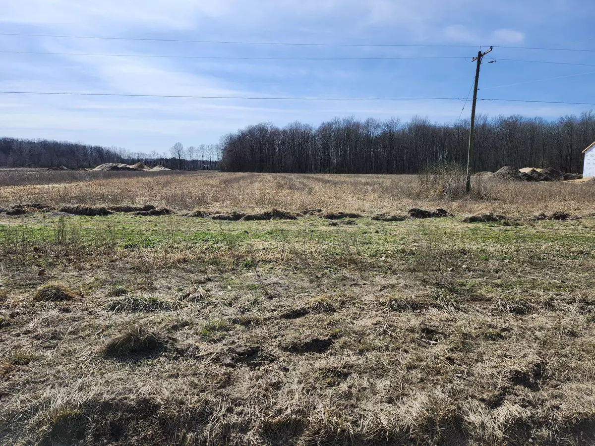 Hudsonville, MI 49426,0 Baldwin Street