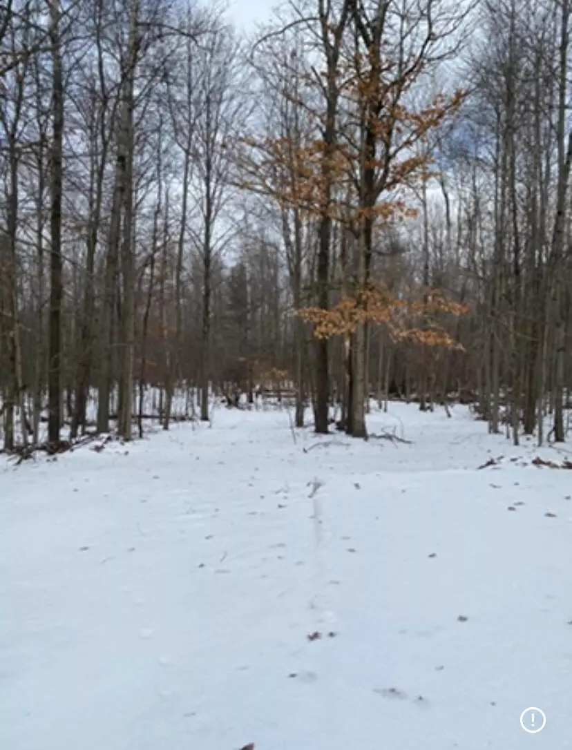 Benton Harbor, MI 49022,470 N Mc Cord Street