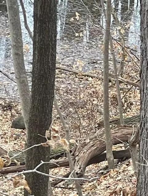 Coloma, MI 49038,0 Wilson Street