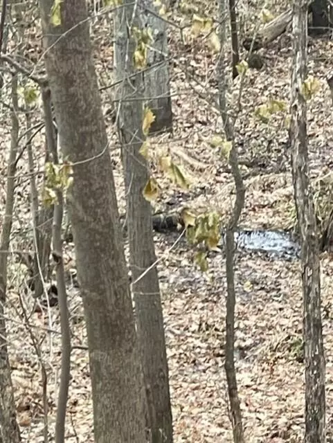 Coloma, MI 49038,0 Wilson Street