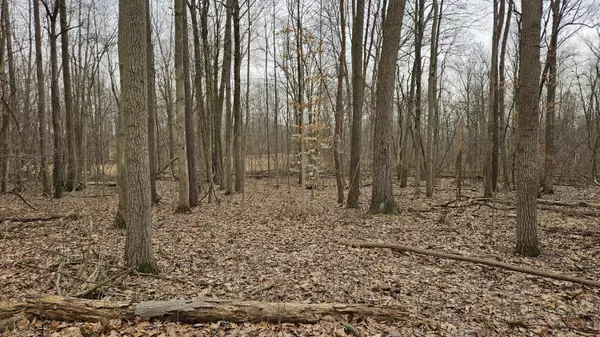 Cassopolis, MI 49031,Chain Lake Street