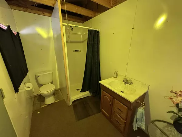Idlewild, MI 49642,374 E Wilson Drive