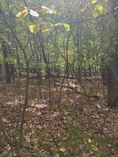 Canadian Lakes, MI 49346,10082 Sante Fe Trail