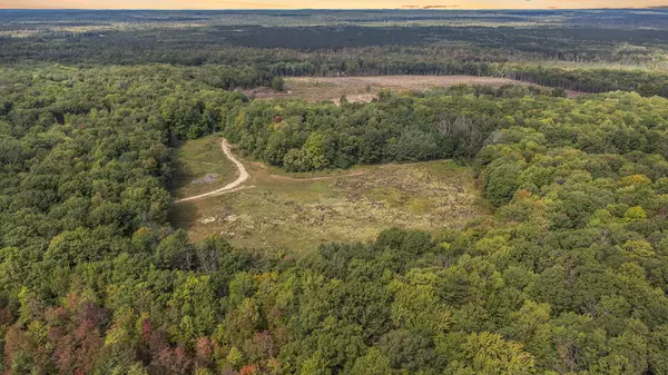 2599 N Pine Parcel B Avenue, White Cloud, MI 49349