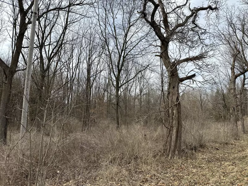 000 M99 S, Albion, MI 49224