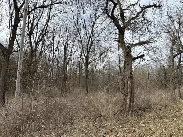 Albion, MI 49224,000 M99 S