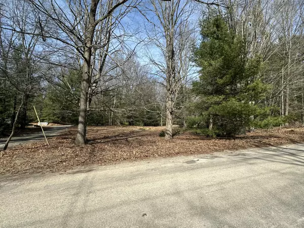 Pentwater, MI 49449,Sands Street - Vacant