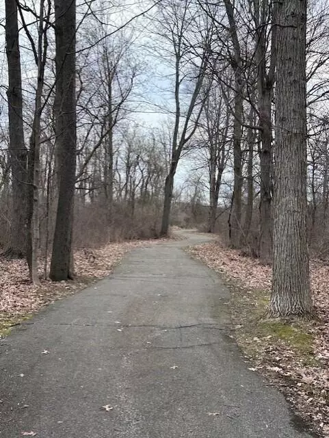 Homer, MI 49245,0 N Hillsdale N Street