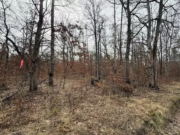 Idlewild, MI 49642,VL Springfield Avenue