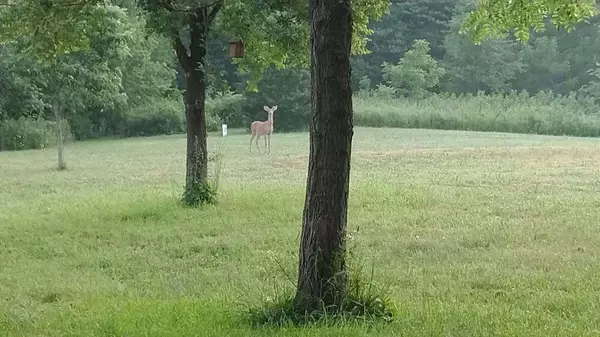 Cassopolis, MI 49031,17420 Long Lake Drive #Lot 12