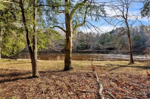 Hersey, MI 49639,Lot 34 Rapids Drive