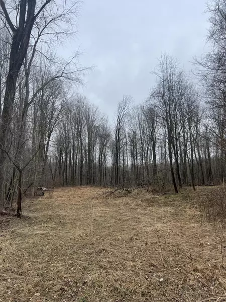 14th Street VL 19.81 Acres, Grand Junction, MI 49056