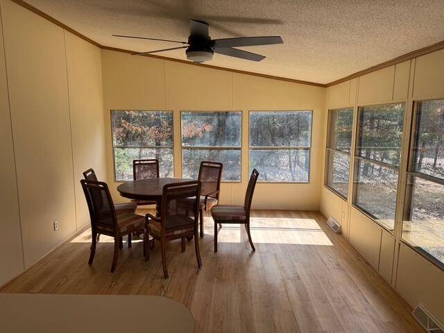 White Cloud, MI 49349,2995 S Pine Avenue