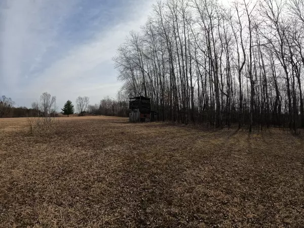 Harrison, MI 48625,10586 E Townline Lake Road