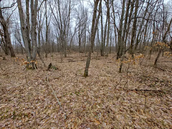 Harrison, MI 48625,VL Athey Ave