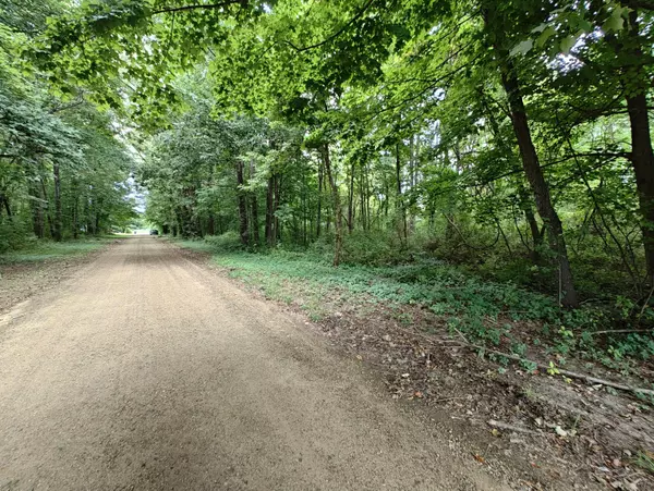 Benton Harbor, MI 49022,VL Clinton Road