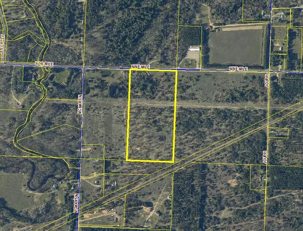 Kaleva, MI 49645,19.5 Acres 9 Mile Road