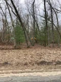 Baldwin, MI 49304,LOT 18 S Star Lake Drive
