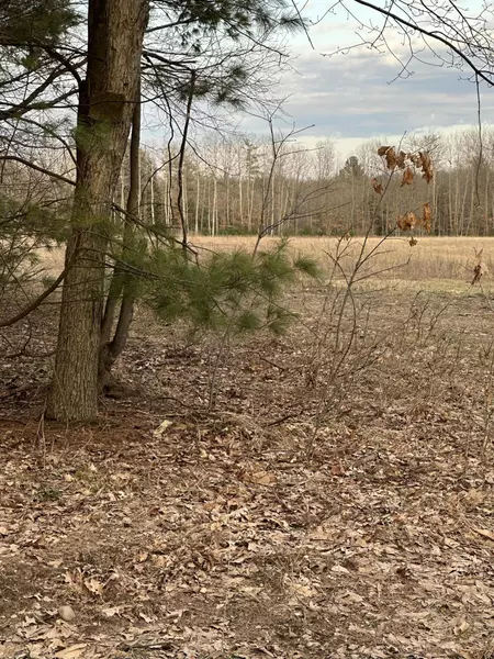V/L E Baseline Road, Hesperia, MI 49421