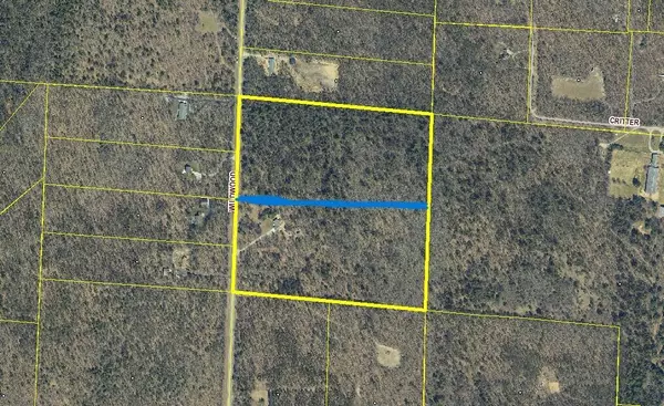 Manistee, MI 49660,20 Acres N of 3657 Wildwood