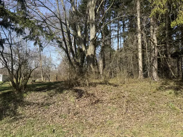 Buchanan, MI 49107,16802 Runyon Road