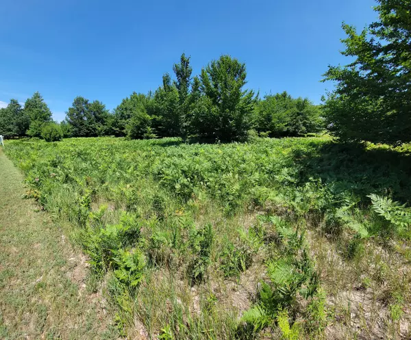 Eagle Ridge Circle #Lot 121, Onekama, MI 49675