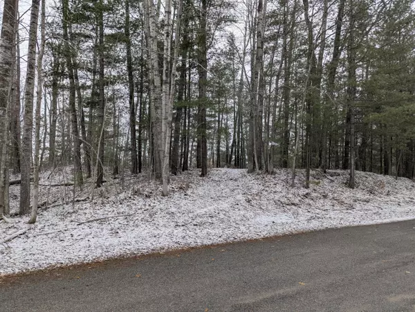Lake City, MI 49651,V/L 0000 W CROOKED LAKE RD