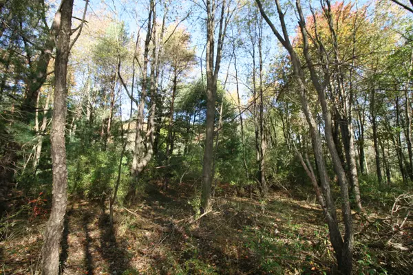 South Haven, MI 49090,F 70th Street
