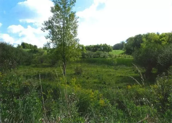 Hillsdale, MI 49242,0 S Hillsdale Road