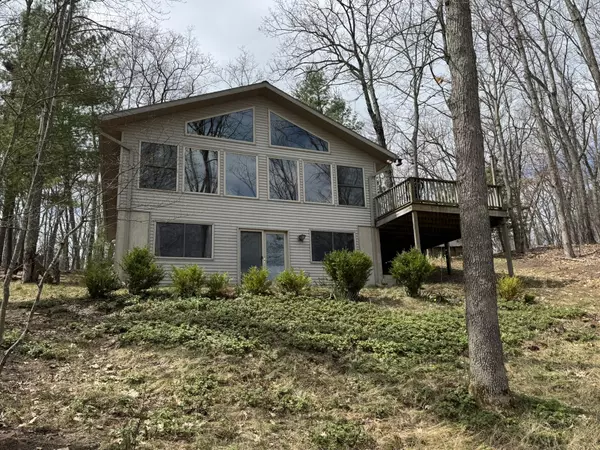 6876 W Twin Lake Drive, Irons, MI 49644