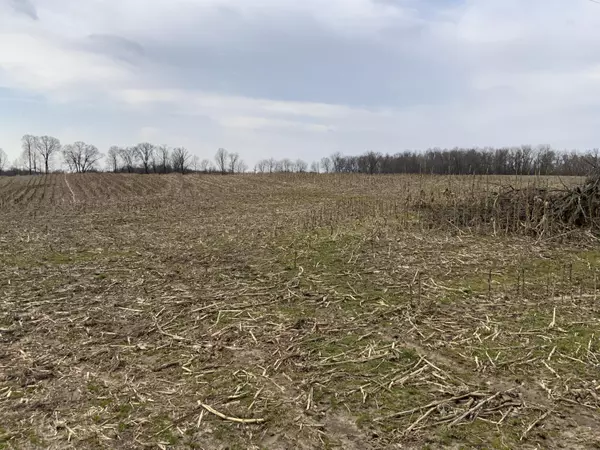 Spring Arbor, MI 49283,0 Mathews Rd Parcel A