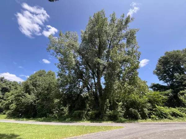 Decatur, MI 49045,VL W Oak Drive