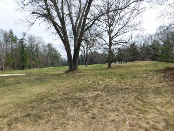 Twin Lake, MI 49457,DARCLIFF LN Lane #lot 110