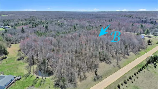 Fennville, MI 49408,VL 60th Street Parcel B