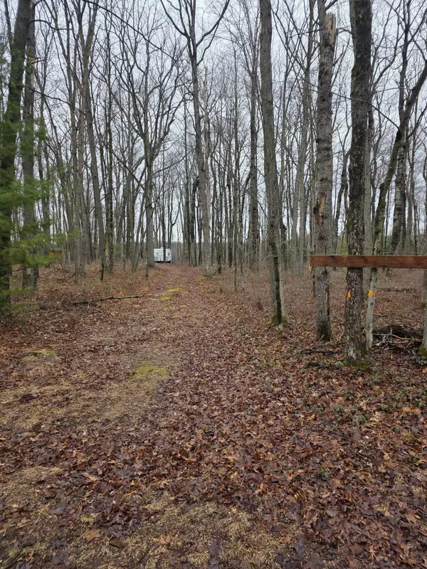 White Cloud, MI 49349,0 V/L Hunters Way