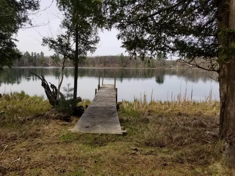 Par 15 W 12 Mile Road, Irons, MI 49644