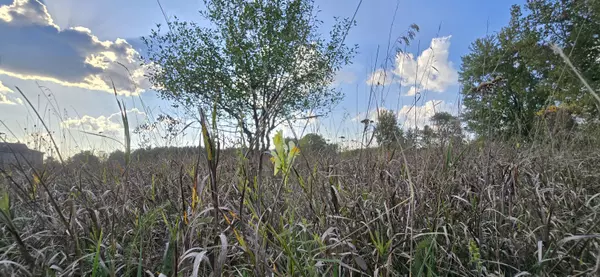 8692 E Baseline Road, Mount Pleasant, MI 48858