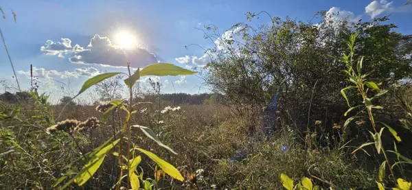 Mount Pleasant, MI 48858,8692 E Baseline Road