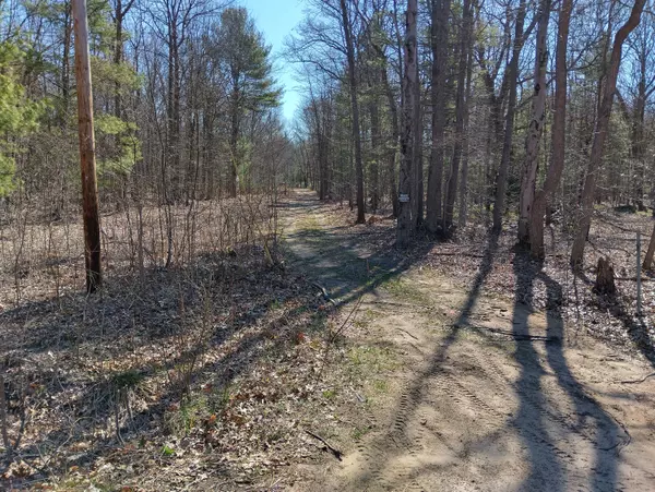 Fruitport, MI 49415,VL Wolf Lake Road