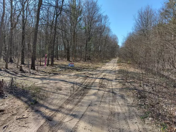Fruitport, MI 49415,VL Wolf Lake Road